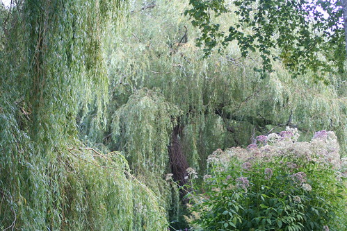 20090919 Edinburgh 20 Royal Botanic Garden 410