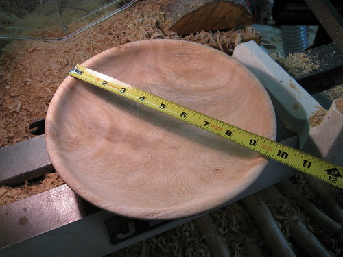 Ficus bowl is approaching 10 inches wide
