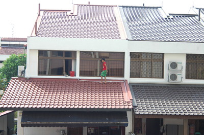 A Maid on The Roof