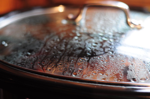 The key thing to remember about Slow Cooking: condensation. The liquid recycles and never evaporates. So you need to take other steps to concentrate flavors. 