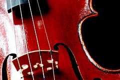 Don’t Have Time and Money for Violin Lesson? Learn Violin Online
