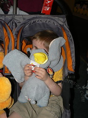 Dumbo for the big kid