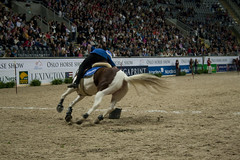 Oslo Horse Show