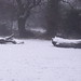 Snow covered logs in the snowy Shire Country Park