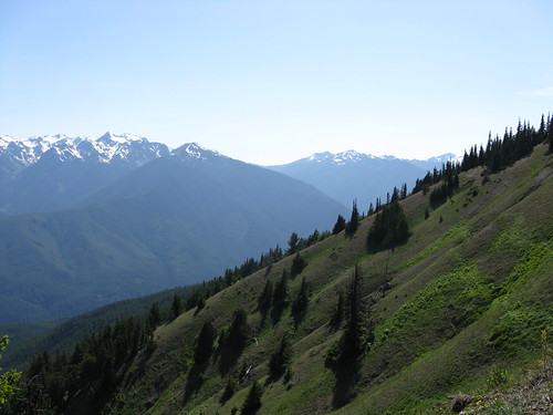 Hurricane Hill Trail