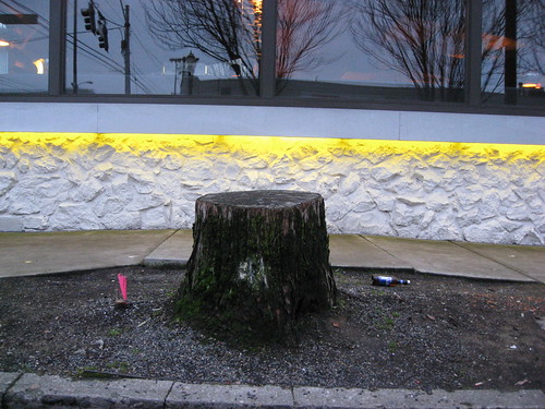 Street tree down: SE 9th &amp; Burnside