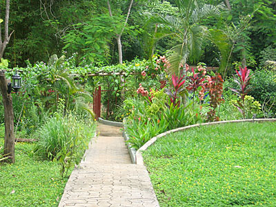 Costa Rica - Walkway