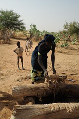 4b. fetching dirty water from well, Mali, near border