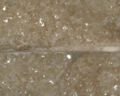 No.14-mramor biely povrch vystiepany 6x rezany-50x200 - detail