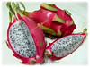 Hylocereus undatus (Red Pitaya, Red Pitahaya, Dragonfruit, Dragon Fruit, Night Blooming Cereus, Belle of the Night, Strawberry Pear, Conderella Plant, ‘Buah Naga’, ‘Thanh Long’)