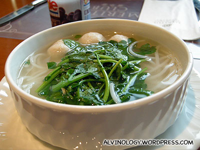 Fish ball soup noodle