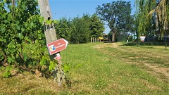 Via Francigena - Fidenza - Fornovo