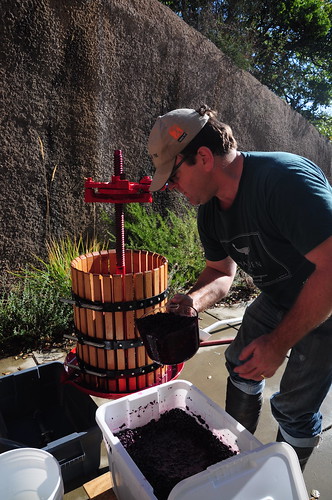 Some would say the basket press extracts too much, including some astringency and herbaceous flavors. Not for Cousin John, he wanted to press to the last drop of liquid.