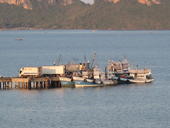 Unloading Fish - Seaside, Thailand