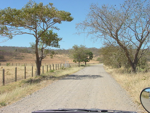 Palo Verde 2003