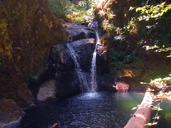 Wolf Creek Falls Trail