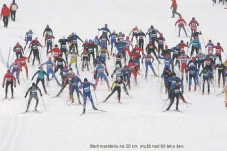 1. Zimní světové hry masters 2010, Slovinsko