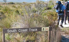 Starting the South Coast Track