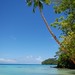 Coconut tree and lagoon, Huahine