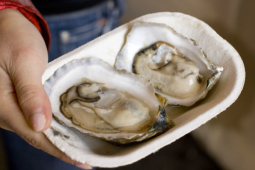 Oysters 4