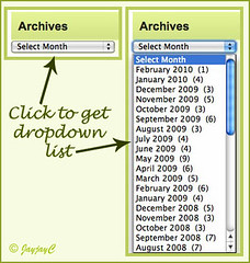 Screen shot of dropdown monthly archives