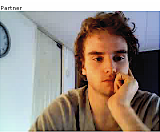 "Partner": a series of 15 portraits from Chatroulette, 13