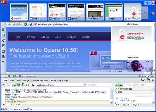 Opera 10.50 Windows in dettaglio