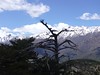 Vue sur la crête Niolu - Ascu depuis le sentier des bergeries de Ciaretta