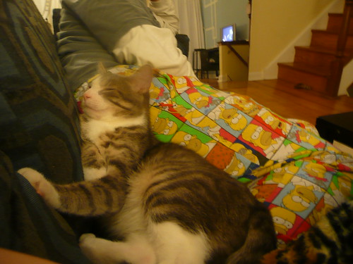 snoozing on daddy's butt