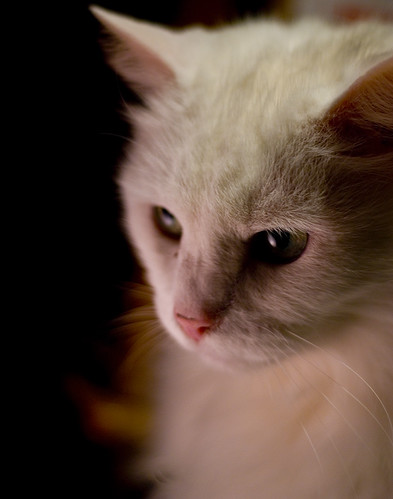 20100212