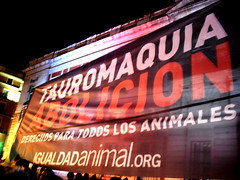 2009 - Madrid - Pancarta Nochevieja - New Year's Eve Banner