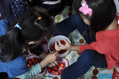 20100207-開始搶草莓 (2)