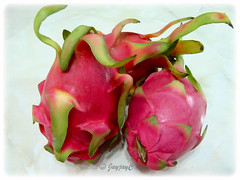 Hylocereus undatus (Dragonfruit, Red Pitaya, Strawberry Pear), with white flesh, dotted with black seeds, from Vietnam