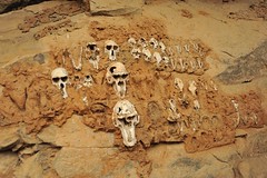 2g. Monkey skulls from hunting on cliff wall. Timbuktu to Ouagadougou 127