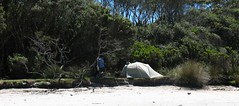 point-eric-campsite-south-coast-track