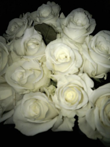 I can't remember what white roses mean.