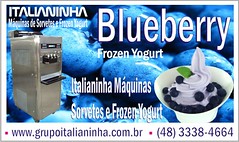 Anglų lietuvių žodynas. Žodis blueberry yogurt reiškia mėlynių jogurtas lietuviškai.