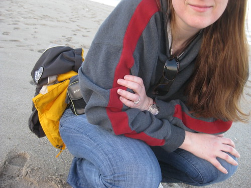 Graeme's Cam: Mama at Juno Beach