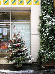 paris sous la neige, 17.12.09, 4