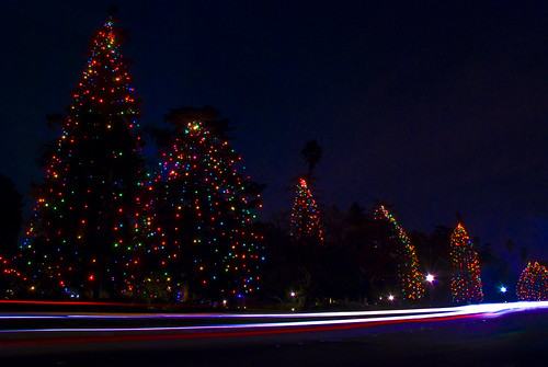 Image result for Christmas Tree Lane, San Marino
