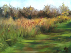 Winter Grass, Oak Point