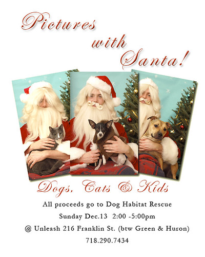 Unleash Pictures With Santa
