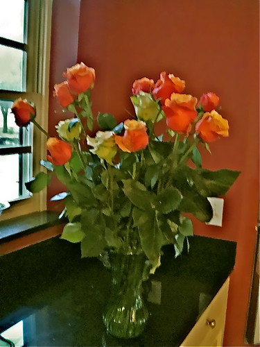 valentine's-ecuador-roses