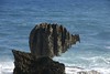 Barbados - Fish Rock [Dsc_5149]
