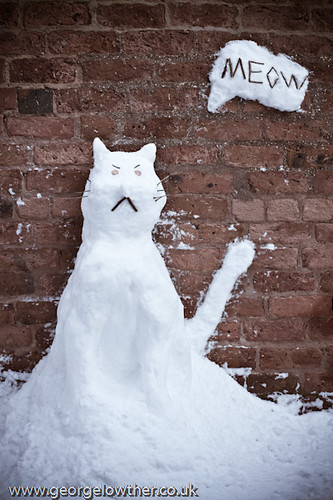 My attempt at making a snow cat!