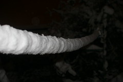 snow rope