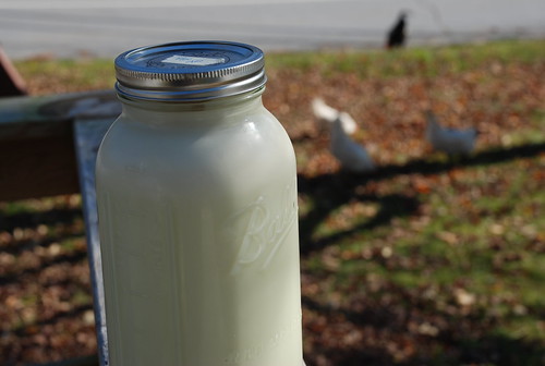raw milk in Maine