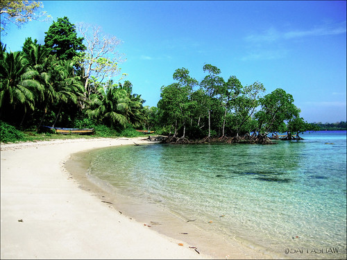 A Private Beach at Havelock