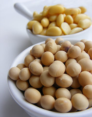 Dried & soaked soybeans
