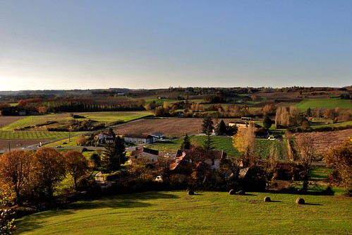 The Aquitaine Countryside